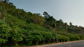 Land for sale in Mae Nam, Surat Thani