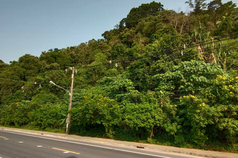 Land for sale in Mae Nam, Surat Thani