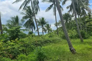 Land for sale in Na Mueang, Surat Thani