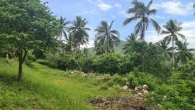 Land for sale in Na Mueang, Surat Thani