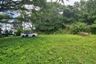 Land for sale in Na Mueang, Surat Thani