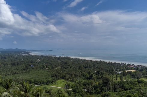 Land for sale in Ang Thong, Surat Thani