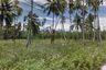 Land for sale in Mae Nam, Surat Thani