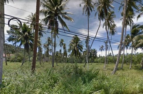 Land for sale in Mae Nam, Surat Thani