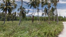 Land for sale in Mae Nam, Surat Thani