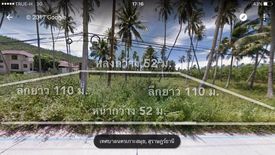 Land for sale in Mae Nam, Surat Thani