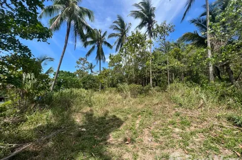 Land for sale in Bo Phut, Surat Thani