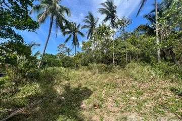 Land for sale in Bo Phut, Surat Thani