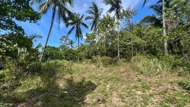 Land for sale in Bo Phut, Surat Thani