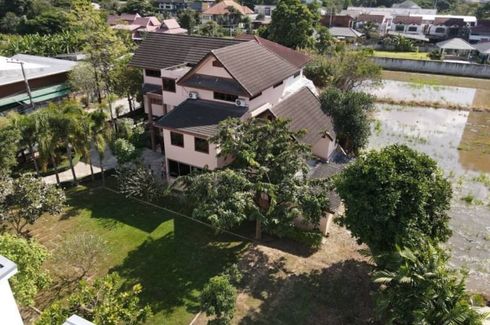 4 Bedroom House for sale in Tha Sala, Chiang Mai