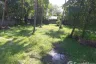 Land for sale in Lipa Noi, Surat Thani