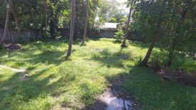 Land for sale in Lipa Noi, Surat Thani