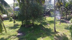 Land for sale in Lipa Noi, Surat Thani