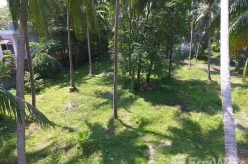 Land for sale in Lipa Noi, Surat Thani