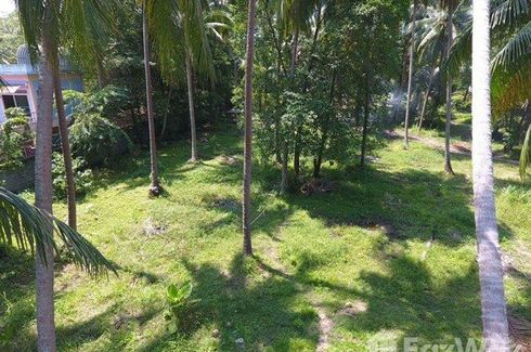 Land for sale in Lipa Noi, Surat Thani