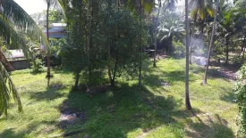 Land for sale in Lipa Noi, Surat Thani