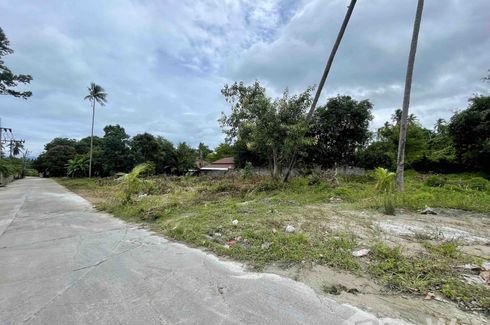 Land for sale in Bo Phut, Surat Thani