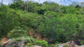 Land for sale in Bo Phut, Surat Thani