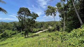 Land for sale in Mae Nam, Surat Thani