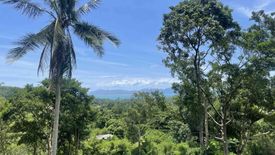 Land for sale in Mae Nam, Surat Thani