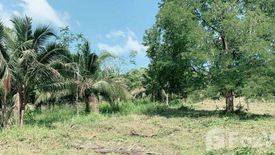 Land for sale in Bo Phut, Surat Thani