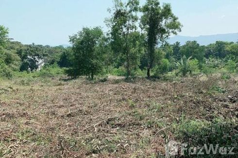 Land for sale in Bo Phut, Surat Thani