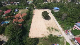 Land for sale in Mae Nam, Surat Thani