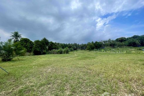 Land for sale in Mae Nam, Surat Thani