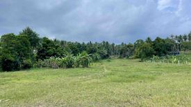 Land for sale in Mae Nam, Surat Thani