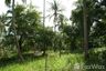 Land for sale in Lipa Noi, Surat Thani