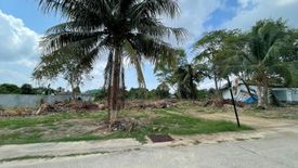 Land for sale in Thep Krasatti, Phuket