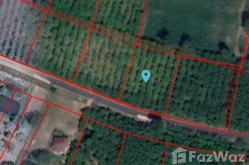 Land for sale in Dom, Surin