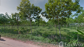 Land for sale in Dom, Surin