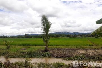 Land for sale in Bua Sali, Chiang Rai