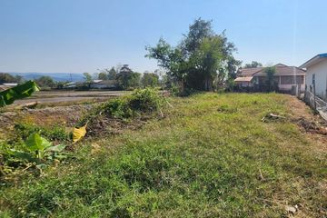 Land for sale in Bua Sali, Chiang Rai