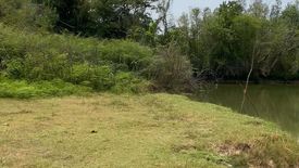 Land for sale in Nok Mueang, Surin