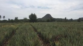 Land for sale in Pran Buri, Prachuap Khiri Khan