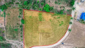 Land for sale in Wang Phong, Prachuap Khiri Khan