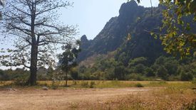 Land for sale in Na Yang, Phetchaburi