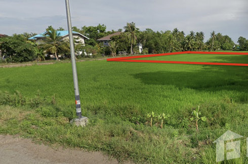 Land for sale in Phra Achan, Nakhon Nayok