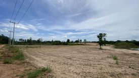 Land for sale in Wang Phong, Prachuap Khiri Khan