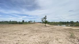 Land for sale in Wang Phong, Prachuap Khiri Khan