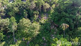 Land for sale in Bo Phut, Surat Thani