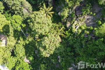 Land for sale in Bo Phut, Surat Thani