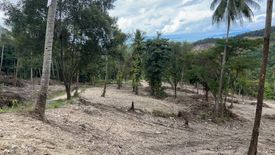 Land for sale in Mae Nam, Surat Thani