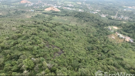 Land for sale in Na Mueang, Surat Thani