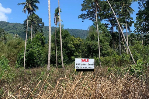 Land for sale in Maret, Surat Thani