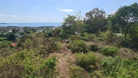 Land for sale in Bo Phut, Surat Thani