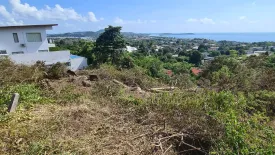 Land for sale in Bo Phut, Surat Thani