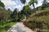 Land for sale in Mae Nam, Surat Thani